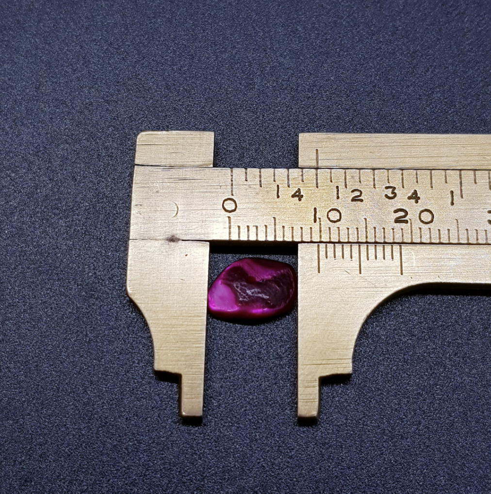 Multicolor Chip Shell Beads