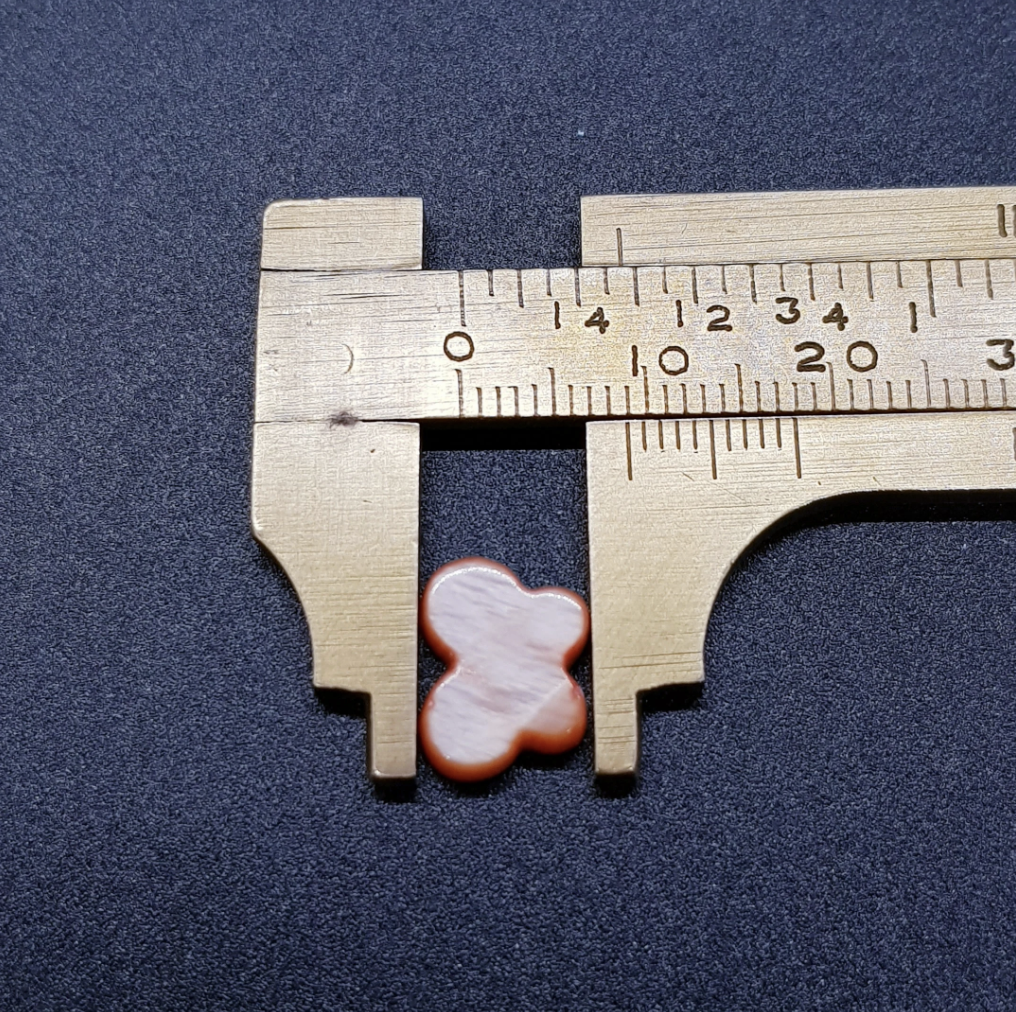 Butterfly Multicolor Shell Beads