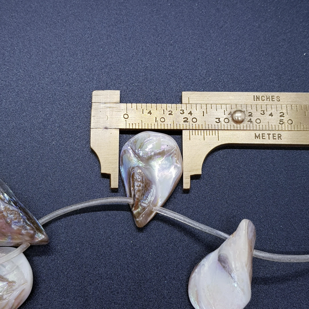 Drop Oyster Shell Beads