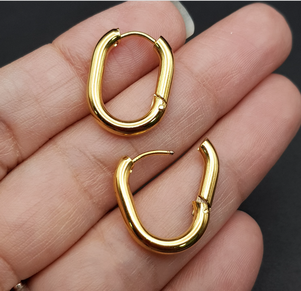 Small Oval Stainless Steel Hoop Earrings